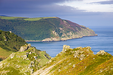 Looking across the Valley of Rocks and onto the Highveer Point headland, Exmoor National Park, Devon, England, United Kingdom, Europe