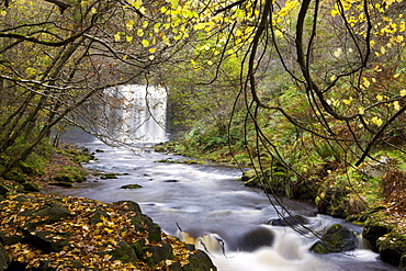 Sgwd yr Eira waterfall on the Afon Mellte river near Ystradfellte, Brecon Beacons National Park, Powys, Wales, United Kingdom, Europe