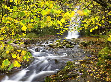 Waterfall on the River Caerfanell at Blaen-y-glyn, Brecon Beacons National Park, Powys, Wales, United Kingdom, Europe