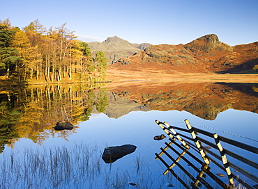 Langdale Pikes reflected in a mirror like Blea Tarn in the early morning, Lake District National Park, Cumbria, England, United Kingdom, Europe