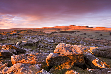 Sunrise in winter over Belstone Tor, looking towards Yes Tor and High Willhays, the highest point in Devon and Southern Britain, Dartmoor National Park, Devon, England, United Kingdom, Europe