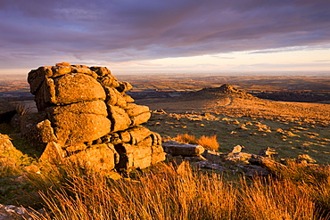 Golden winter sunshine glows against the granite outcrops at Belstone Tor, Dartmoor National Park, Devon, England, United Kingdom, Europe