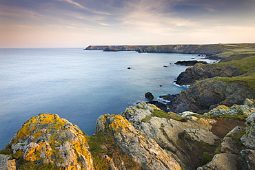 Looking north towards Kynance Cove from Lizard Point, the most southerly point in mainland Britain, Cornwall, England, United Kingdom, Europe