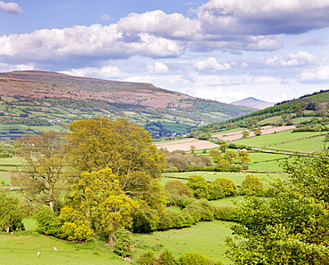 Rolling countryside near Bwlch with views to Sugar Loaf mountain, Brecon Beacons National Park, Powys, Wales, United Kingdom, Europe