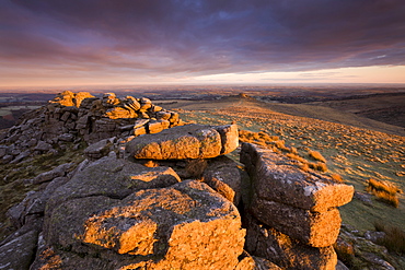 The first rays of early morning winter sunlight bathe Higher Tor in a rich glow, Belstone Common, Dartmoor National Park, Devon, England, United Kingdom, Europe