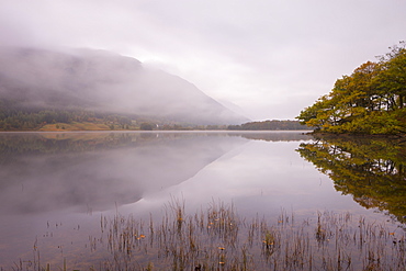 Autumn scene beside a misty dawn at Loch Voil in the Balquhidder Valley, Loch Lomond and the Trossachs National Park, Perthshire, Scotland, United Kingdom, Europe