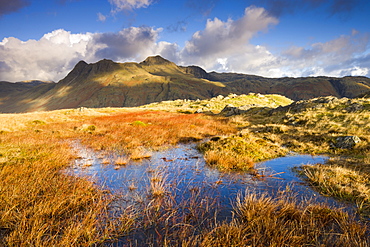 The Langdale Pikes, Lake District National Park, Cumbria, England, United Kingdom, Europe