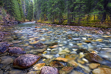 Johnston Canyon Creek, Banff National Park, Alberta, UNESCO World Heritage Site, Canada, North America