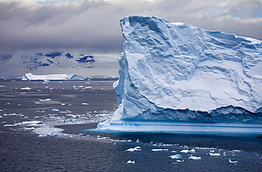 Massive icebergs adrift off the Antarctic Peninsula, Antarctica, Polar Regions