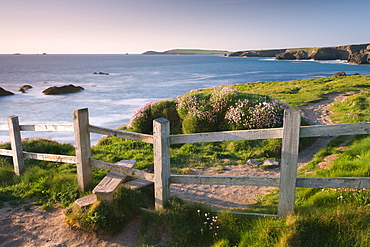 Wooden stile on Cornish clifftops near Porthcothan Bay, South West Coast Path long distance footpath, Cornwall, England, United Kingdom, Europe