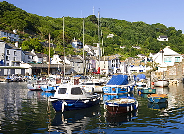 Boats and cottages surround the pretty harbour in the fishing village of Polperro, Cornwall, England, United Kingdom, Europe