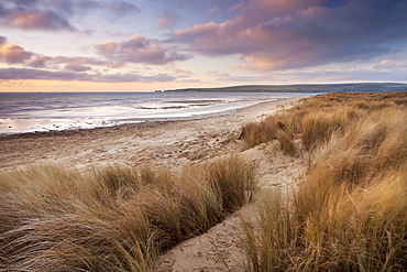 Windswept sand dunes on the beach in winter at Studland Bay, Dorset, England, United Kingdom, Europe