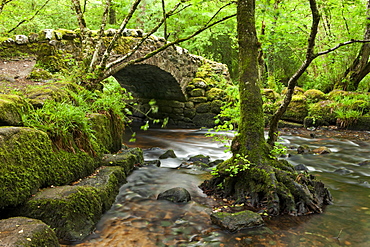 Medieval Hisley Bridge spanning the River Bovey in Hisley Wood, Dartmoor, Devon, England, United Kingdom, Europe