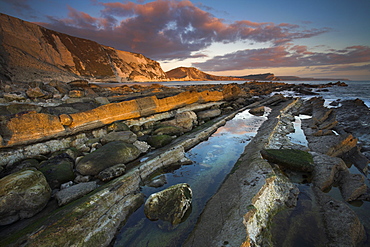 Afternoon light catching the rock ledges at Mupe Bay, Jurassic Coast, UNESCO World Heritage Site, Dorset, England, United Kingdom, Europe