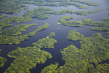 Aerial view of Amazon rainforest and tributary of the Rio Negro, Manaus, Amazonas, Brazil, South America 