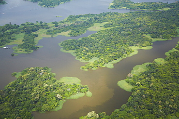 Aerial view of Amazon rainforest and tributary of the Rio Negro, Manaus, Amazonas, Brazil, South America 