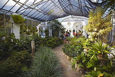 People inside orchid house at Botanical Gardens (Jardim Botanico), Rio de Janeiro, Brazil, South America 