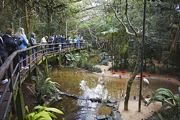 People inside walk-in enclosure at Parque das Aves (Bird Park), Iguacu, Parana, Brazil, South America