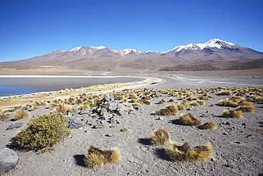 Landscape of Laguna Canapa on Altiplano, Potosi Department, Bolivia, South America