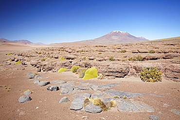 Landscape of Altiplano, Potosi Department, Bolivia, South America