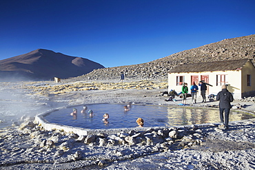 Tourists in hot springs of Termas de Polques on the Altiplano, Potosi Department, Bolivia, South America