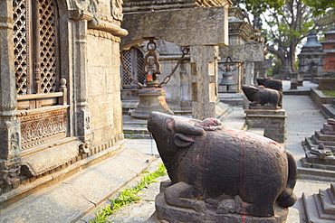 Shiva shrines at Pashupatinath Temple, UNESCO World Heritage Site, Kathmandu, Nepal, Asia