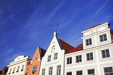 Traditional buildings in Town Hall Square (Raekoja Plats), Tallinn, Estonia, Baltic States, Europe