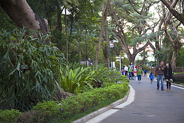 Hong Kong Zoological and Botanical Gardens, Admiralty, Hong Kong Island, Hong Kong, China, Asia