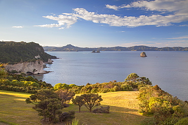 View of Cathedral Cove Marine Reserve (Te Whanganui-A-Hei), Coromandel Peninsula, Waikato, North Island, New Zealand, Pacific