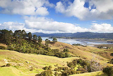 View of Manaia Harbour and farmland, Coromandel Peninsula, Waikato, North Island, New Zealand, Pacific