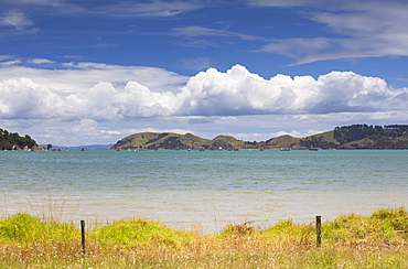 Harbour of Coromandel Town, Coromandel Peninsula, Waikato, North Island, New Zealand, Pacific