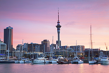 Viaduct Harbour and Sky Tower at sunset, Auckland, North Island, New Zealand, Pacific