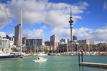 Viaduct Harbour and Sky Tower, Auckland, North Island, New Zealand, Pacific