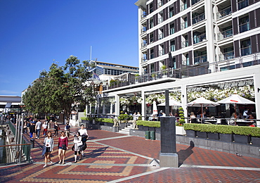 Bars and restaurants in Viaduct Harbour, Auckland, New Zealand, Pacific