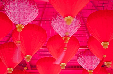 Chinese New Year lanterns, Kowloon Bay, Kowloon, Hong Kong, China, Asia