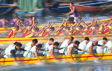 Dragon boat race, Shau Kei Wan, Hong Kong Island, Hong Kong, China, Asia