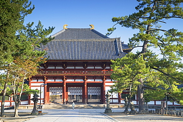 Man at Todaiji Temple, UNESCO World Heritage Site, Nara, Kansai, Japan, Asia