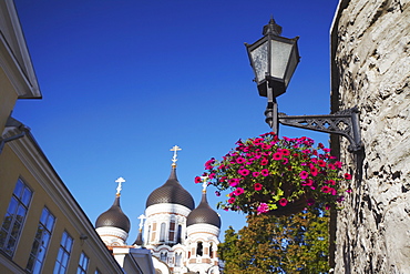 Alexander Nevsky Cathedral, Toompea, Tallinn, Estonia, Baltic States, Europe