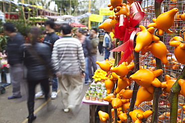 Traditional plant decorations for sale at flower market for Chinese New Year, Mongkok, Kowloon, Hong Kong, China, Asia