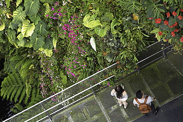 Cloud Forest greenhouse in Gardens by the Bay, Singapore, Southeast Asia, Asia