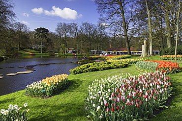 Tulips in Keukenhof Gardens, Lisse, Netherlands, Europe