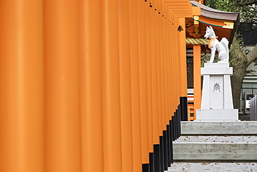 Torii gates at Ichinomiya shrine, Kobe, Kansai, Japan, Asia