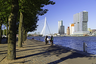 People cycling along Nieuwe Maas River, Rotterdam, Zuid Holland, Netherlands, Europe