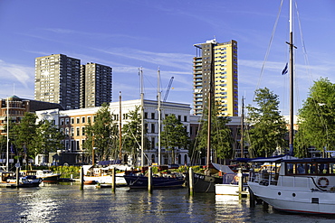 Veerhaven Marina, Rotterdam, Zuid Holland, Netherlands, Europe