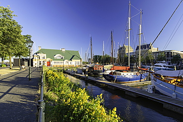 Veerhaven Marina, Rotterdam, Zuid Holland, Netherlands, Europe