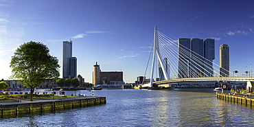 Erasmus Bridge (Erasmusbrug) and skyline, Rotterdam, Zuid Holland, Netherlands, Europe