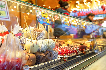 Food stall at Frankfurt Christmas Market, Frankfurt am Main, Hesse, Germany, Europe