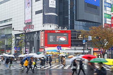 People walking across Shibuya Crossing, Shibuya, Tokyo, Honshu, Japan, Asia