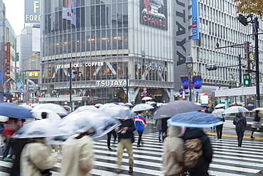 People walking across Shibuya Crossing, Shibuya, Tokyo, Honshu, Japan, Asia