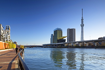 Skytree and Sumida River, Tokyo, Honshu, Japan, Asia